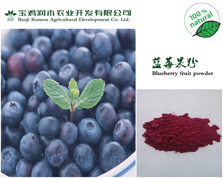 【喷雾干燥】纯天然蓝莓粉 1公斤起订