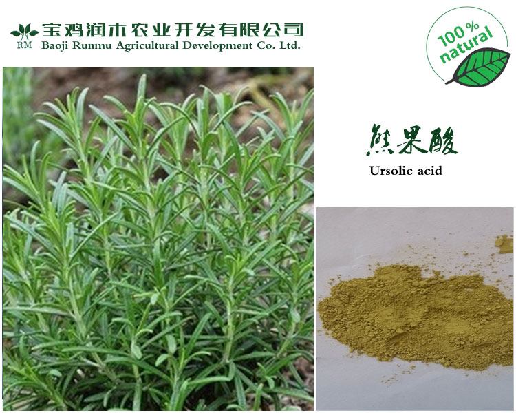 《宝鸡润木》现货供应迷迭香提取物-《熊果酸20%》