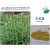 《宝鸡润木》现货供应迷迭香提取物-《熊果酸20%》