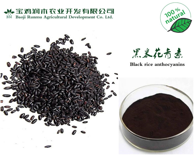 植物提取物厂大量供应《黑米花青素25% 花色苷》