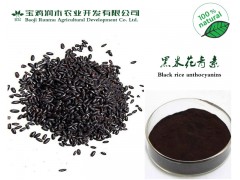 植物提取物厂大量供应《黑米花青素25% 花色苷》