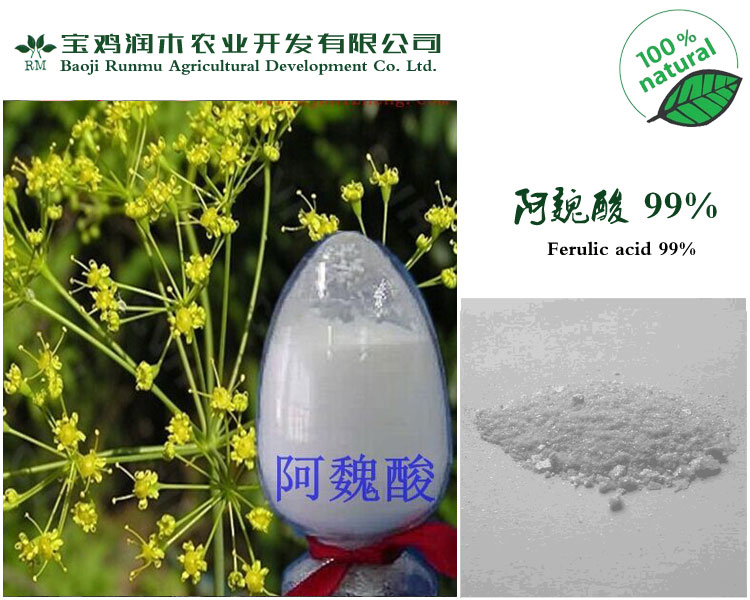 专业生产 阿魏酸 含量99.5% 欢迎订购咨询