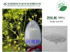 专业生产 阿魏酸 含量99.5% 欢迎订购咨询