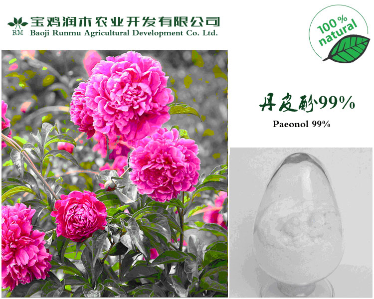 厂家现货优质 丹皮酚99% 药用级别 量大从优