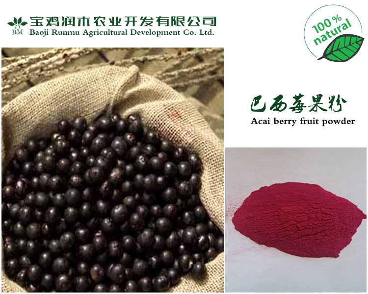 巴西莓提取物4:1 / 巴西莓粉/巴西莓果汁粉