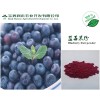 【喷雾干燥】纯天然蓝莓粉/蓝莓果汁粉
