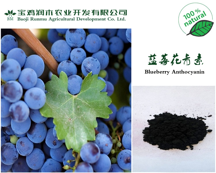 蓝莓花青素25% （欧标）