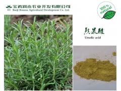 迷迭香提取物-《熊果酸20%》