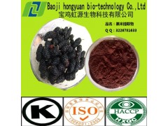 厂家直销 桑葚提取物20%花青素 质优