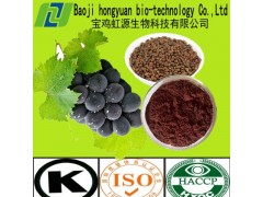 厂家直销 葡萄籽提取物95%OPC 质优