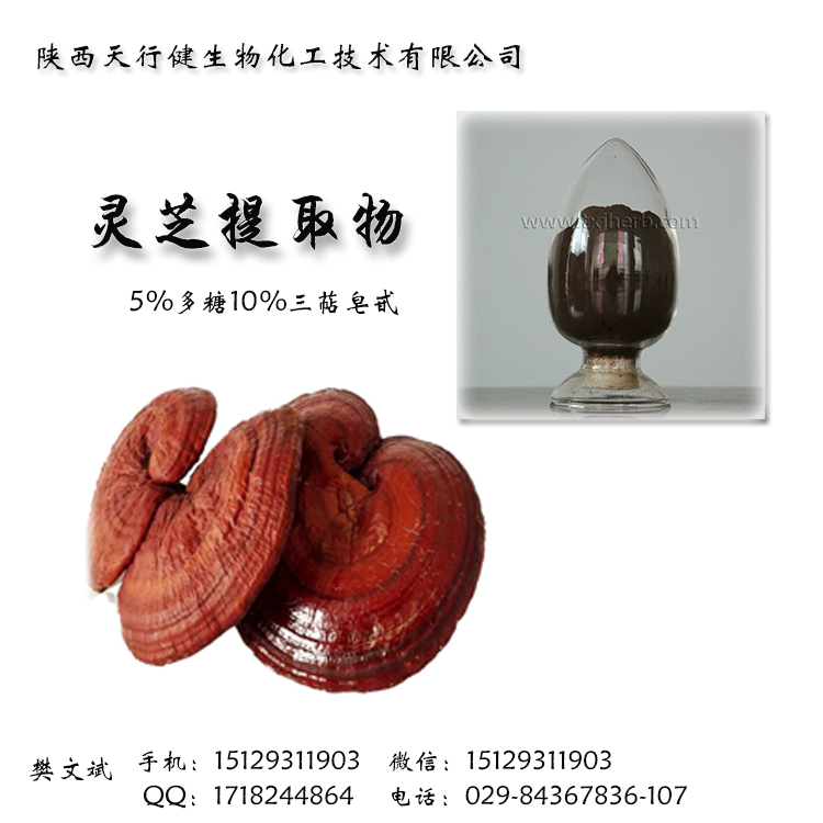 厂家直销灵芝提取物 灵芝三萜10%