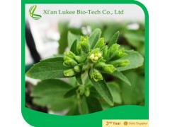 厂家直销 天然甜味剂 甜菊糖甙