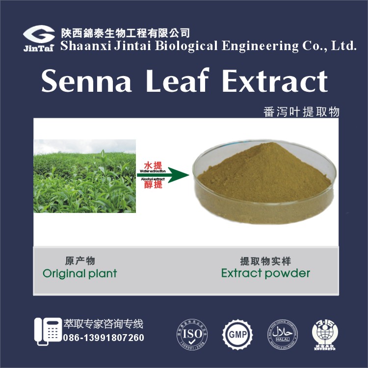 减肥/通便番泻叶提取物/番泻叶甙8% 番泻叶提取物