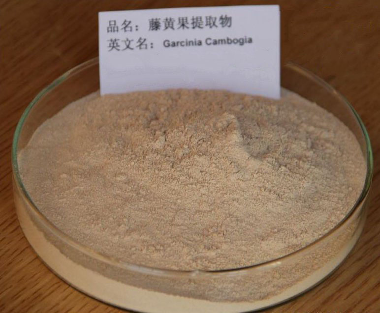 藤黄果提取物