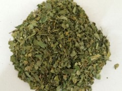 辣木叶/辣木生粉