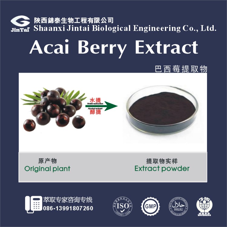 专业生产天然植物来源巴西莓4:1、巴西莓提取物