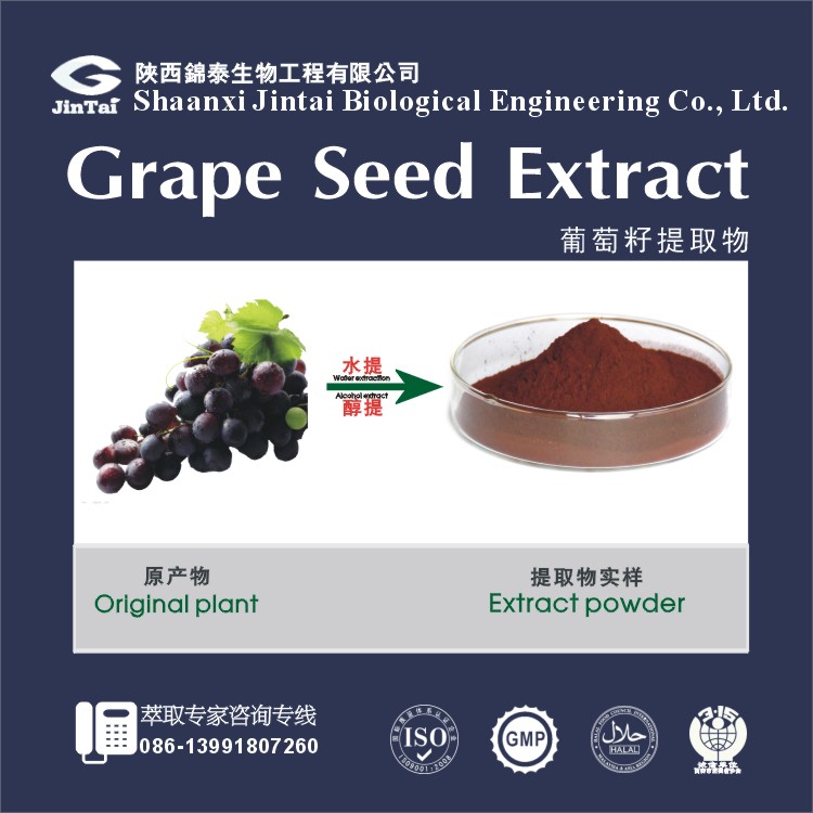 天然抗氧化功效葡萄籽提取物 原花青素95%