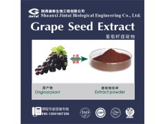 天然抗氧化功效葡萄籽提取物 原花青素95%