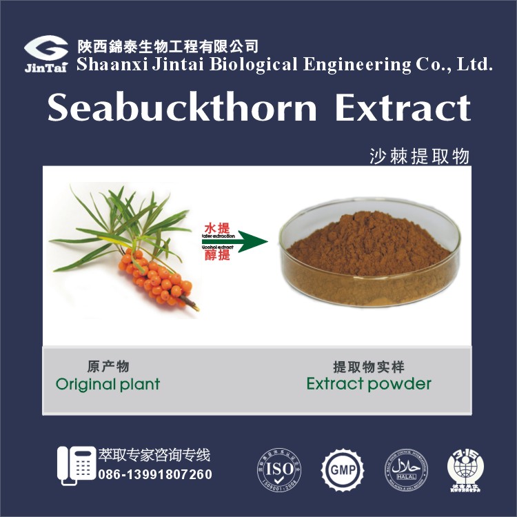纯天然沙棘提取物 沙棘果提取物