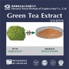茶叶提取物速溶红茶、绿茶（多酚30%）
