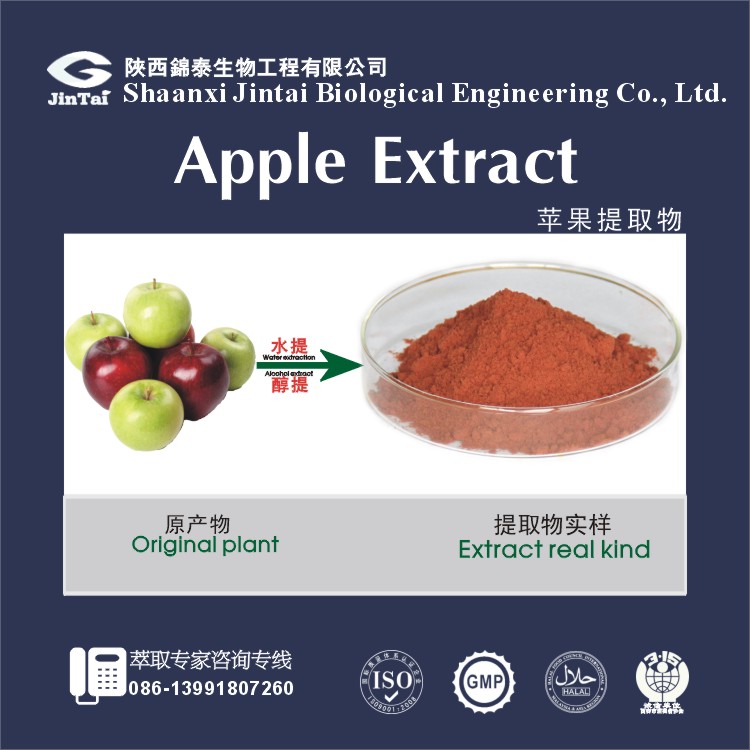 天然苹果提取物根皮素98%HPLC