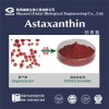 【热销】最强抗氧化功效天然虾青素 虾青素粉末