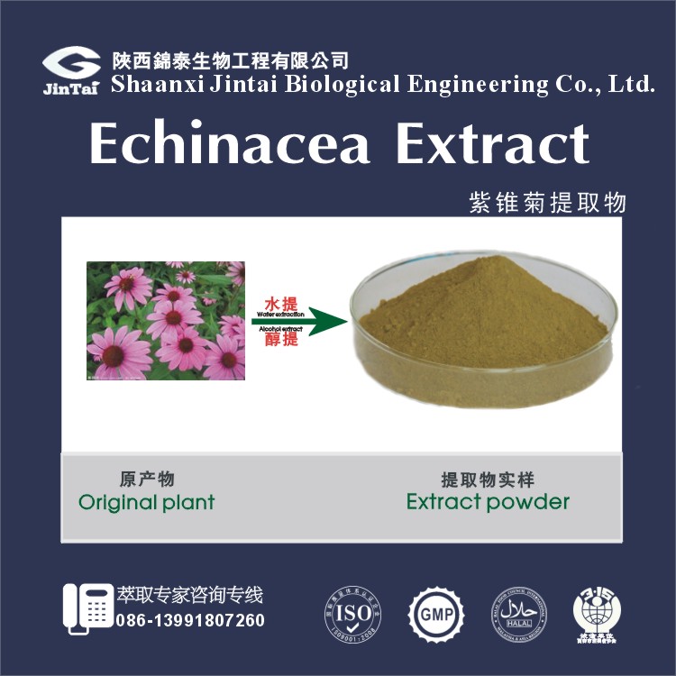 【厂家直销】天然 抗菌、抗病毒原料 紫锥菊提取物