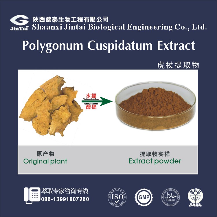 厂家现货供应虎杖提取物、白藜芦醇、天然白藜芦醇