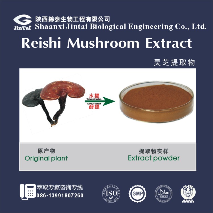 【热销】天然灵芝提取物、灵芝多糖、20% 30%