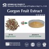 【现货供应】锦泰生物十年提取经验专业生产 芡实提取物