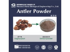 厂家现货供应优质 特级鹿茸粉 纯鹿茸粉