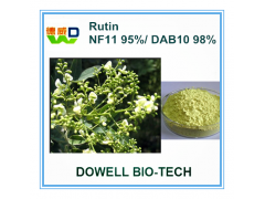 槐米提取物---芦丁/槲皮素/曲克芦丁