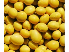 大豆提取物 大豆异黄酮40%