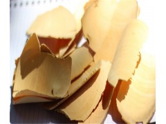 冬革阿里提取物50：1