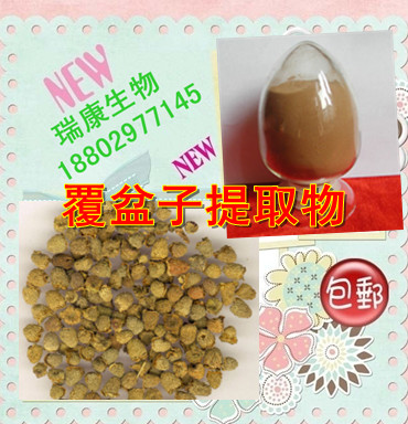 覆盆子提取物