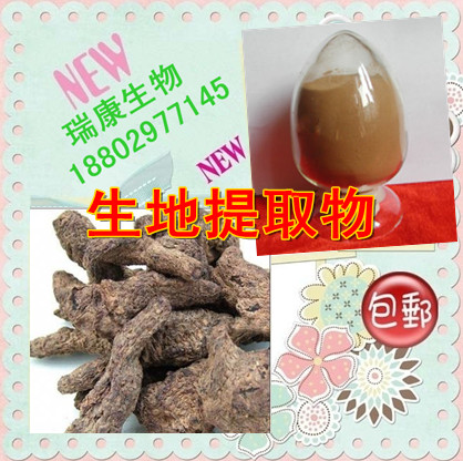 生地黄提取物