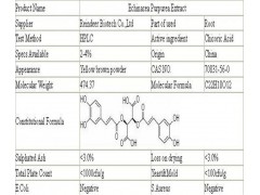紫松果菊提取物 多酚4%