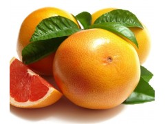 葡萄柚提取物 柚皮甙98%