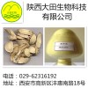 厂家长期供应黄芩甙提取物