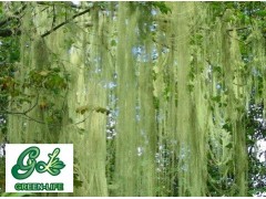 松萝酸全国唯一生产商