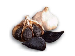 黑蒜提取物全国唯一生产商