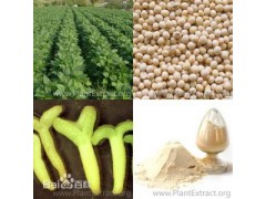 大豆提取物厂家直销