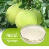 柚皮苷 湖北厂家直销