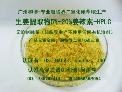 生姜提取物5%~20%姜辣素HPLC