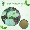 苦皮藤素4% 植物农药 生物农药 强力杀虫剂  大量现货