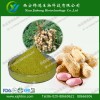 木犀草素提取物