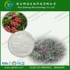 吴茱萸碱提取物 纯天然提取