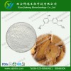 虎杖甙提取物 纯天然提取 厂家现货供应