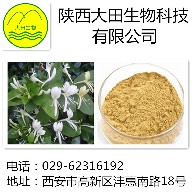 厂家现货供应金银花提取物
