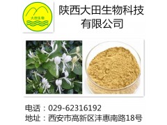 厂家现货供应金银花提取物